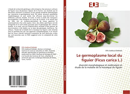 Le germoplasme local du figuier (Ficus carica L.): diversité morphologique et moléculaire et étude de la maladie de la mosaïque du figuier