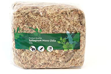 Muschio di sfagno per terrari e orchidee dal Cile - Substrato ideale e bastoncini di muschio (150 gr - 4000 gr) (1x 500 gr)