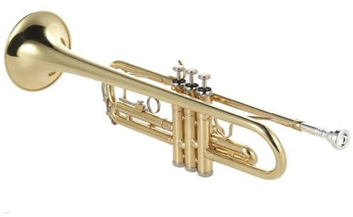 Standard Trompeten Trompete Bb Flach Messing Gold-lackiert Exquisite Langlebig Musical Kupfer Rohr Instrument Handschuhe Strap Fall