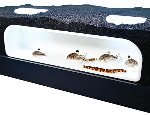 Lucky Critter Aquarium Underground Tunnel Cave | Viewing Fish & Shrimp Under Gravel Tunnel | Fish Tank Decor Decoration Hideout Perfect for Corydora Catfish, Kuhli Loach, Clown Loach, Pleco (White)