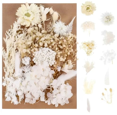 WUSJCOF Fiori Secchi Naturali, Set Bianco per Artigianato e Decorazioni, Fiori Secchi per Candele, Resina Epossidica, Scrapbooking, Accessori Fai da Te per Decorazioni Casa e Matrimonio
