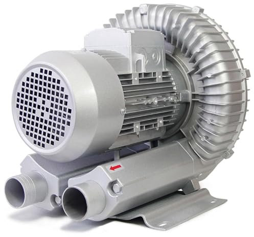 Bomba Soplante Monofásica, Bomba de Agua para Piscina y Jacuzzi, Depuradora Piscina,220V-120W