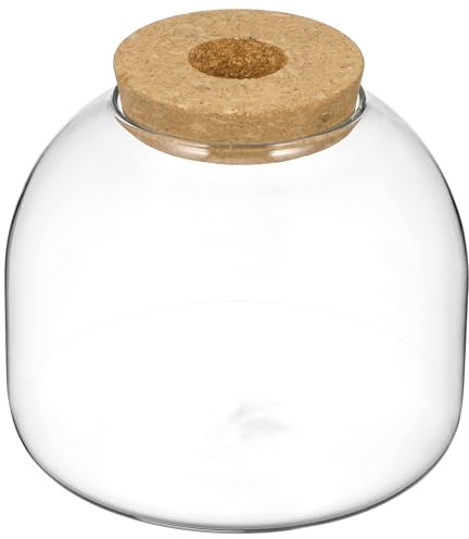 BESTonZON Vase en verre pour terrarium avec couvercle en liège et bouchon en bois pour plantes hydroponiques de terrasse et jardin