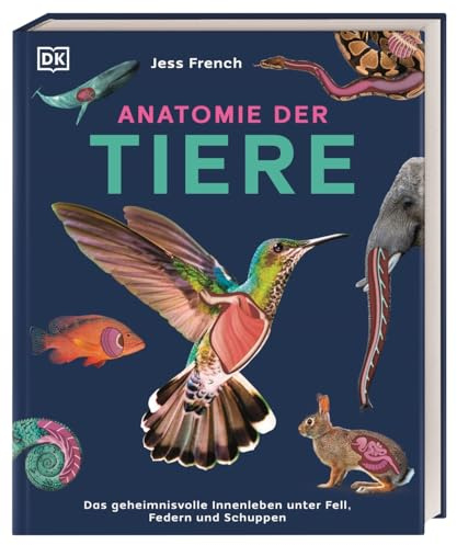 Anatomie der Tiere: Das geheimnisvolle Innenleben unter Fell, Federn und Schuppen. Tieranatomie großartig visuell aufbereitet. Für Kinder ab 7 Jahren