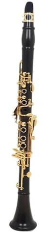 Klarinetten mit klarem Ton Ebenholzklarinette Instrument mit B Tonart professionelle Leistung