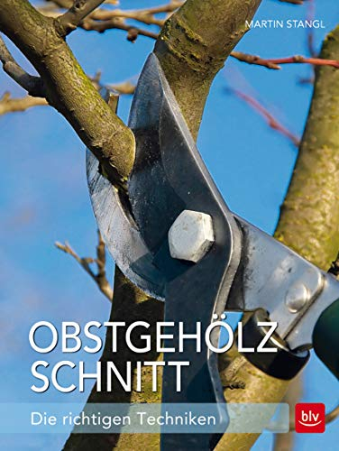 Obstgehölzschnitt: Die richtigen Techniken (BLV Gartenpraxis)