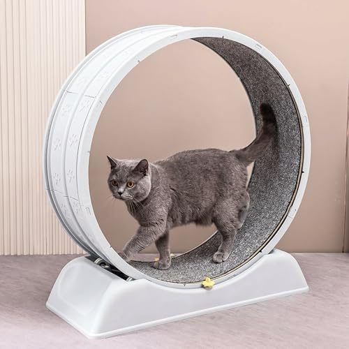 SOONHUA 30 Inch Cat Exercise Wheel with Brake | Quiet running wheel with removable carpet runway for active indoor cats, kittens and daily enrichment
