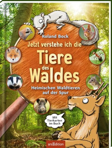 Jetzt verstehe ich die Tiere des Waldes: Heimischen Waldtieren auf der Spur – mit Tierkarten im Buch | Kindersachbuch zu den 16 wichtigsten heimischen Tieren | ab 6 Jahren
