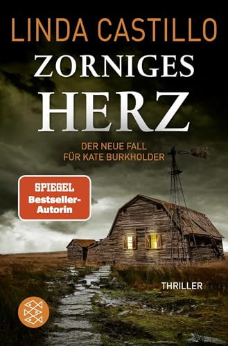 Zorniges Herz: Thriller | Spannender Thriller bei den Amischen (Kate Burkholder ermittelt, Band 15)