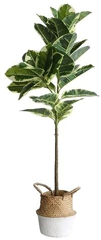 NTIYOU Fake Tree Nordic Greenery Plant Artificial Tree Plant Rubber Tree Indoor Bonsai Fake Trees Green Plant Home Office Decoration Home Plants (Size : 124cm)