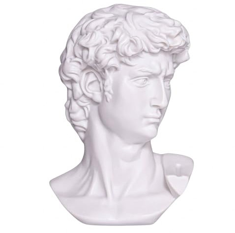 danila-souvenirs Busto Statua Scultura in Marmo del David di Miguel Ángel Testa Greca Romana Classica 15 cm, 770 g