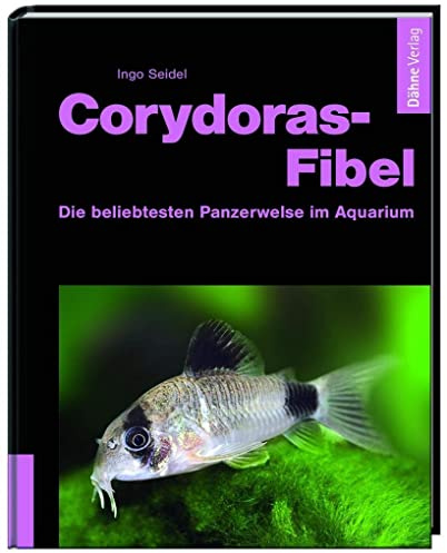 Corydoras-Fibel - Die beliebtesten Panzerwelse im Aquarium