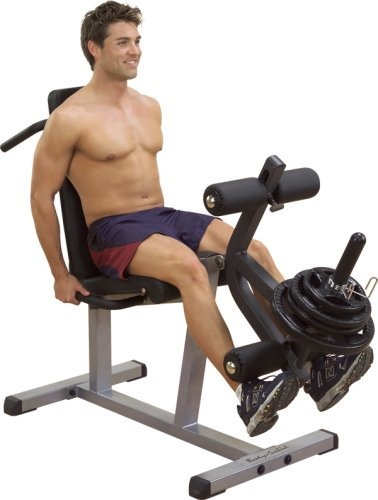 Body-Solid GLCE-365 Beinstrecker & Beinbeuger mit Gewichten, 50mm (Hantelscheiben Gummi (2 Grifflöcher, schwarz))
