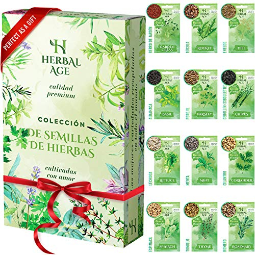 12 Variedades De Kit Plantas Aromáticas – 8700 Semillas Urbano Para Cultivar De Hierbas Frescas En Casa Interior, Jardin – Semillas Lechuga, Albahaca, Perejil – Regalos Originales Para Mujer y Hombre