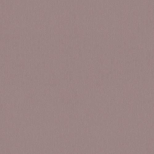 Papier peint uni Papier peint intissé Gris Violet 343277 | Papier peint pas cher