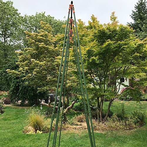 Bean Master Runner Bean Frame Kit | Heavy Duty Garden Plant Support Trellis for Climbing Crops - 1.2 x 0.75 x 2.4m H