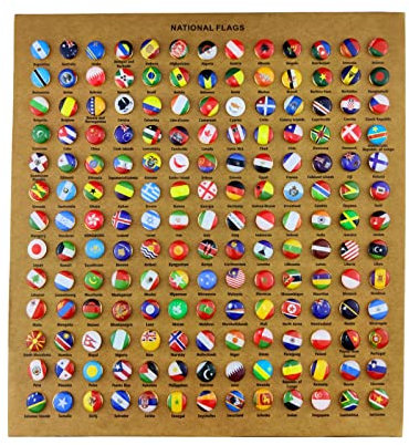 Flylin 291Pcs National Flag Push Pins Flags Pins of The World Map Pin Board
