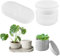 3 Stück Sukkulente Kaktus Silikonform, Blumentopf Gießform Mit Deckel, Für Sukkulenten Und Kaktus Resin Form