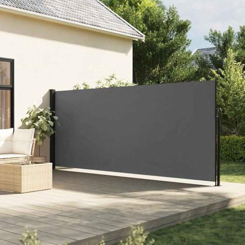Genérico Toldo Lateral retráctil Gris Antracita 180x300 cm,Casa y jardín,Jardín,Artículos de Exterior,Sombrillas,Antracita,7.35 KG,4004353