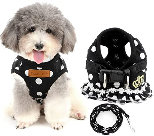 Ranphy Kleine Hunde Hundegeschirr mit Leine Polka Punkt Brustgeschirr Verstellbare Haustier Geschirr für Katze Schwarz Größe S