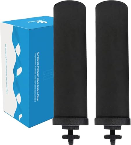 Filtres à charbon actif ionisé Euroguard Premium 2X pour filtres à eau par gravité, également compatibles avec les filtres Berkey BB9 et autres marques