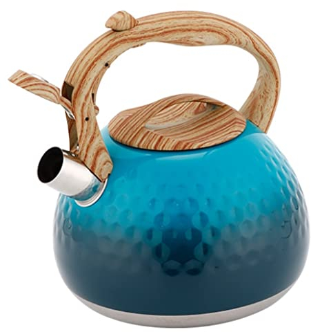 OUYUE Bouilloire Sifflante Bouilloire Sifflante en Acier Inoxydable avec Poignée 3L Chaudière À Eau Chaude Bouilloire Cuisine Cuisinière Bouilloire À Thé Théières pour Cuisinière Bouilloire à Flûte