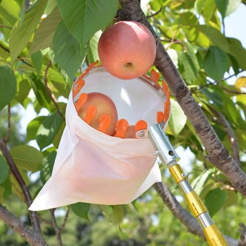 Cueille Fruit Telescopique avec Panier, Légère et Fonctionnelle, Ramasse Fruit pour la Récolte D'Abricots, Mangues, Poires, Oranges, Avocats et Citrons