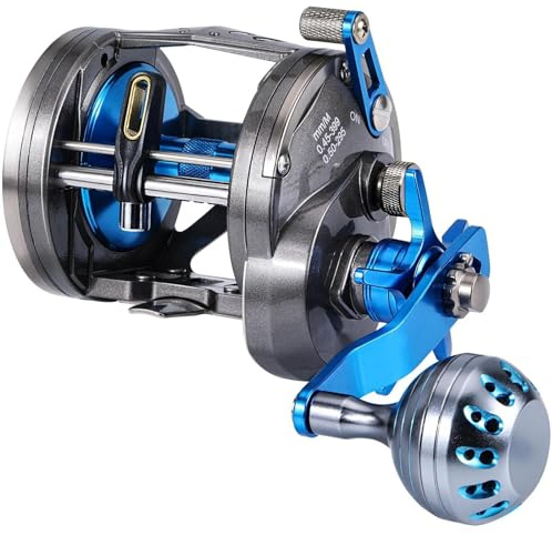 Karpfenrute Angeln Trolling Rolle Salzwasser Level Wind Rollen Max Drag 40lb Metall Ball Grip Boot Angelrollen(AAT40)