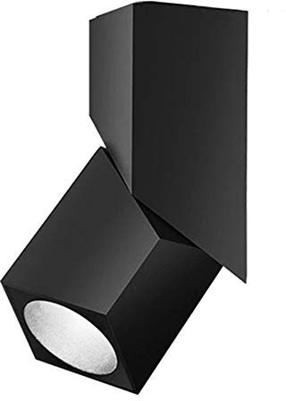 Yodaba LED Indoor Ceiling Spotlight 360°Adjustable Wall Light - Art DIY Spotlights -12W Cool White Light 6000K Ceiling Downlight -Surface Mounted COB Lighting Swivel lamp (Black-6000K)