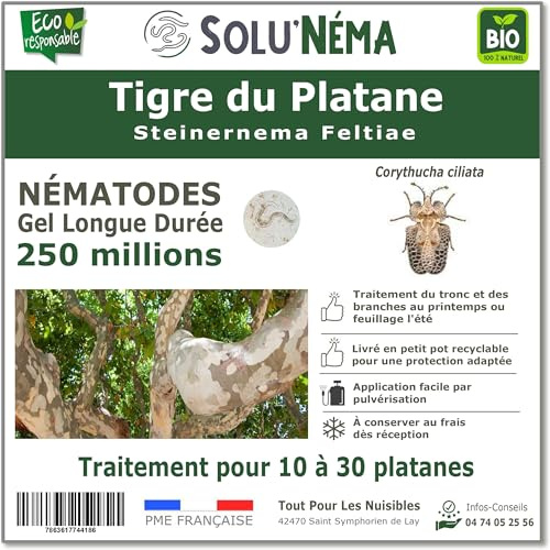 SOLUNEMA - Nématodes Contre le tigre du platane - 250 millions - Pour 10 à 30 platanes