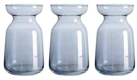 Bafnsiji Piccolo Vaso di Vetro per Fiori, vasi di Fiori in Vetro, Piccolo Set di vasi di Vetro, vasi per germogli, Piccoli vasi Trasparenti per la Coltivazione di Avocado a bulbo di giacinto