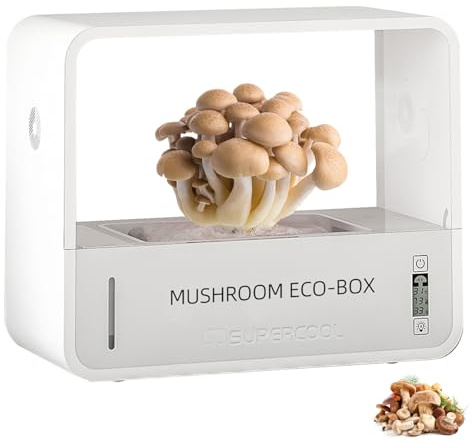 Kit de culture de champignons intelligent, avec affichage en temps réel de la température et de l'humidité, humidificateur automatique, lumière LED 3 couleurs, système de ventilation, indicateur de