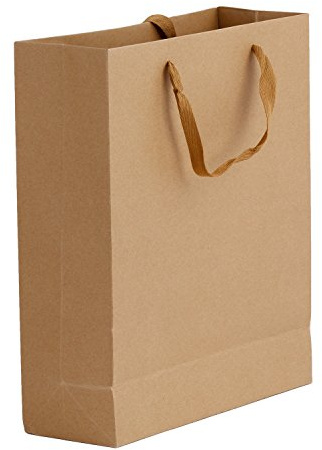 IPENNY 10 Stück Geschenktüten mit Henkel Geschenktaschen Kraftpapier Papierbeutel Papiertüten Geschenktüten Kraftpapiertüte Papiertragetaschen zum Basteln Verzieren Verschenken
