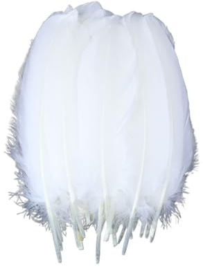 10/50/100 pièces d'artisanat en plumes de cygne teintes et colorées, bijoux de mariage, accessoires de fête, 15-20cm/6-8 pouces(White,10PCS)