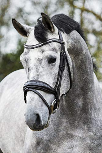Premiera Verona anatomisches Trensenzaum (warmblut, Braun)