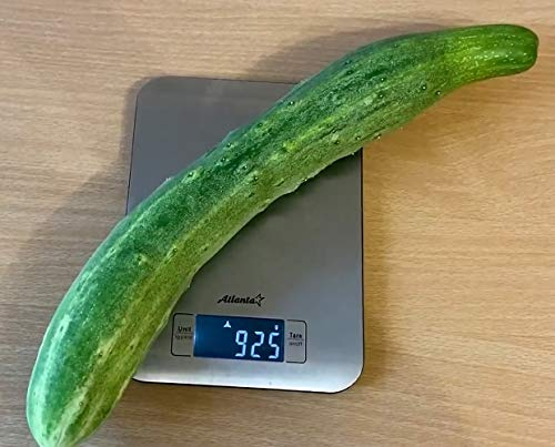 Armenische dunkelgrüne Gurke – Cucumis melo var. flexuosus – 40-70 cm, außergewöhnlich, nicht bitter – 20 Samen