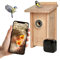 Little Birds Kamera Nistkasten für „Blink“ Kamera (Kamera Nicht enthalten) I ökologisches Massivholz I Katzen- und Spechtschutz I Brutkasten I Kamera Vogelhaus I kein Strom/Kabel nötig