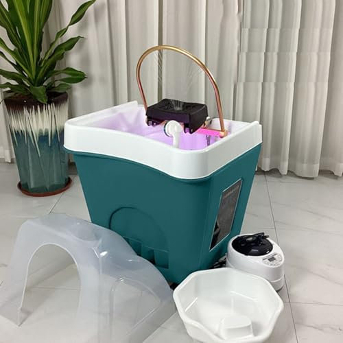 Équipement de spa japonais à température constante, circulation de l'eau, bassin de shampooing amovible – Équipement de fumigation spa pour cheveux