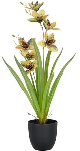 CREATIV green künstliche Orchidee Cymbidium grün-gelb 55cm im Kunststofftopf 11,5x10,5cm I künstliche Orchidee mit grün-gelben Blüten wie echt im Topf I Pflegeleichte & täuschend echte Kunstblumen