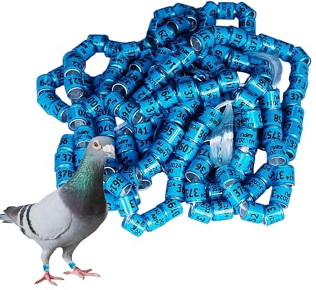 2025 duvbensringar – fågelfotringar, 50 stycken duvringar duvtillbehör band | generiska pigeon supplies band, fågelfotringar, pegeontillbehör för racingpapegojor, kycklingar, duvband ringar