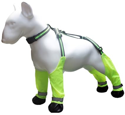 Dog Suspender Boots, Hundestiefel mit Hosenträgern, wasserdichte Hundeschuhe Verstellbare Hundehose Hundepfotenschutz mit Hilfsgurt für Hunde (M)+Kunststoff Faltschale für Haustiere