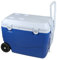 Cao 46 litres Enfriador, Unisex Adulto, Azul/Blanco, 60,5 x 35,5 x 41,5 cm
