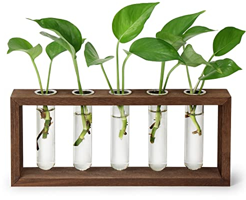 THYGIFTREE Anzuchtrohren mit Holzständer Wandbehang Pflanzenzuchtstation für Hydrokultur-Stecklinge, Desktop-Glas-Pflanzgefäß, Terrariumvase, Heimdekoration, Geschenke