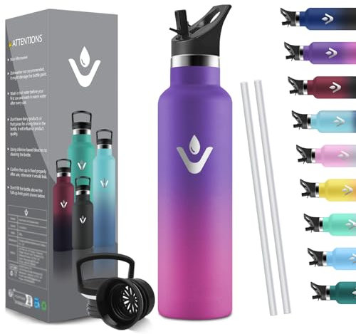 HoneyHolly Stainless Steel Drinking Bottle, 750 ml, BPA-Free, Thermos Flask, Leak-Proof Insulated Flask, Double Walled, Water Bottle, Thermal Mug with Straw, Suitable for Carbonated Drinking Bottle