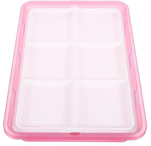 UPKOCH Maceta de Hierba para Gatos Hidropónica Doble Capa Caja de Plantación para Mascotas Maceta de Plástico Duradero para Interior de Usar y Limpiar