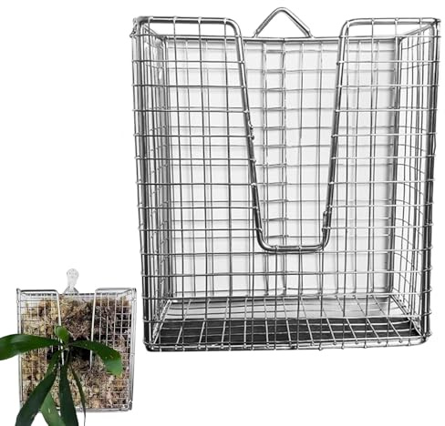 Elchgeweih Farn Wandmontage – Orchideen Blumenampel Aus Edelstahl 304, Vertikaler Pflanzenhalter Minimalistisches Design Langlebig Wetterfest | Pflanzenpräsentation Für Innenraum Außenbereich Haus Hof