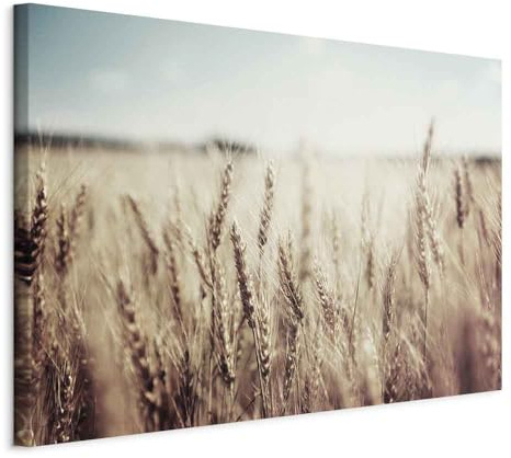 murando - Akustikbild Wiese Landschaft Feld, Schallschutz, Wohnzimmer, Büro