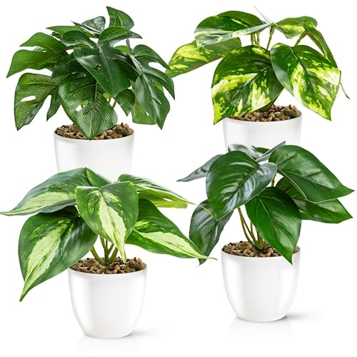 PASCH Set med 4 konstgjorda växter som riktiga (18 cm) i högglansig keramikkruka | Konstgjorda krukväxter | Konstgjorda krukväxter | Konstgjord blomma Falsk växt