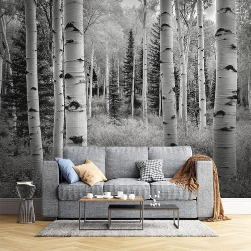 Grauer Birkenwald Fototapete - Moderne Fotografie - Größe 300X210Cm (Breite X Höhe) Wandtapete Tapete, Wandbild Wandtattoo Dekoration - Tapete, Kinderzimmer, Kindertapete