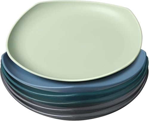 Greentainer Groß Teller 6er 24.1cm Speiseteller für BBQ,RV, Party, Picknick, Camping,Unzerbrechliches Plate aus PP für Kinder & Erwachsene|Leichtes Plastikteller| Mikrowellen & Spülmaschinenfest